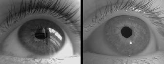 oswietlenie-podczerwone-2